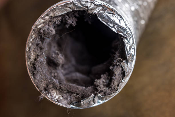 Best Home Air Vent Cleaning  in Wilmington Manor, DE